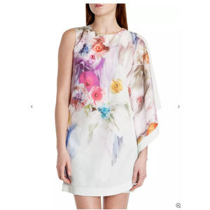 Ted Baker London Tunic Dress Dahnni Floral Mini
